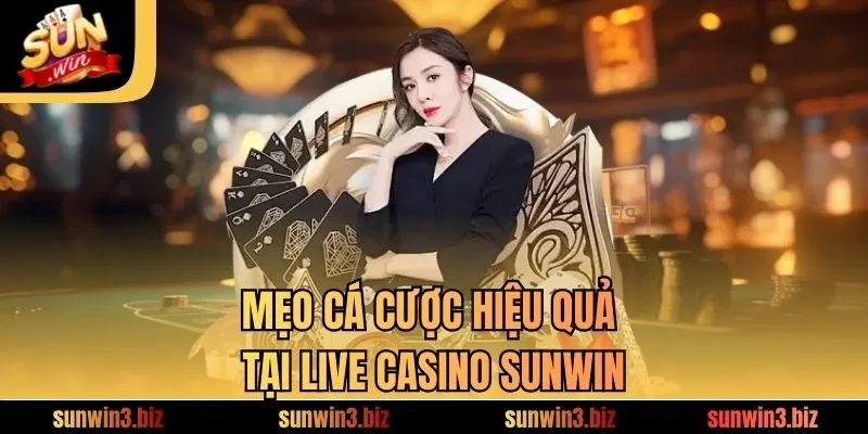Mẹo cá cược hiệu quả tại Live Casino SUNWIN