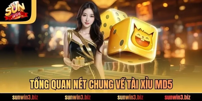 Tổng quan nét chung về tài xỉu MD5